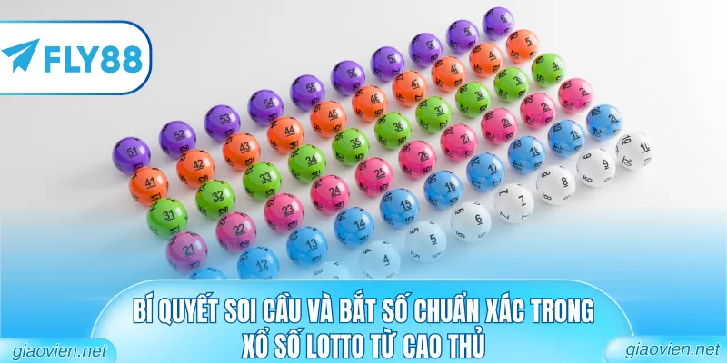 Xổ Số Lotto - Hành Trình Tìm Kiếm Vận May Đỉnh Cao 2026 3 Bí quyết soi cầu và bắt số chuẩn xác trong xổ số lotto từ cao thủ