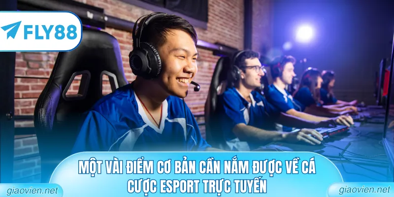 Cá Cược Esport Trực Tuyến - Đấu Trường Trí Tuệ Kỳ Thú 1 Một vài điểm cơ bản cần nắm được về cá cược Esport trực tuyến