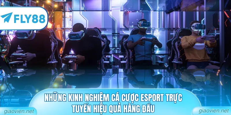 Cá Cược Esport Trực Tuyến - Đấu Trường Trí Tuệ Kỳ Thú 3 Những kinh nghiệm cá cược Esport trực tuyến hiệu quả hàng đầu