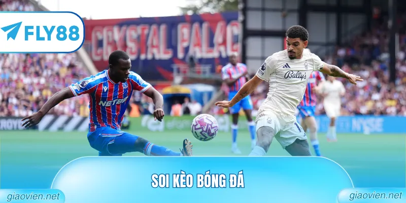 Soi Kèo Bóng Đá Trực Tuyến Cập Nhật Tỷ Lệ Odds Nhanh Nhất 1 Soi kèo bóng đá